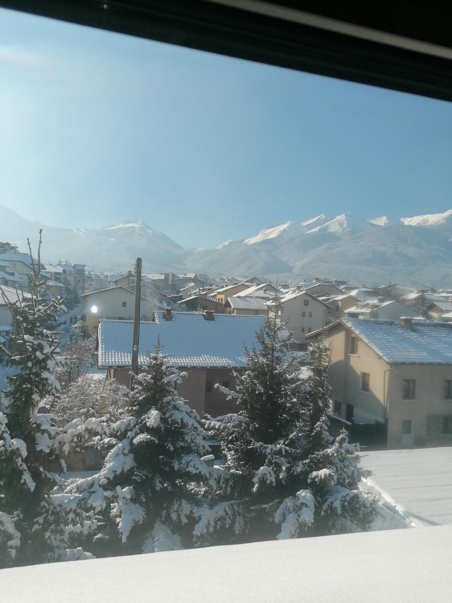 Boutique Guest House Ikonomov 班斯科 外观 照片